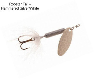 Rooster Tail - Hammered Silver/White