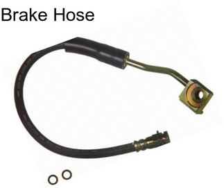 Brake Hose