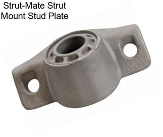 Strut-Mate Strut Mount Stud Plate