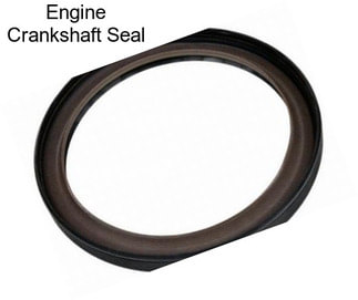 Engine Crankshaft Seal