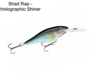 Shad Rap - Holographic Shiner