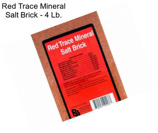 Red Trace Mineral Salt Brick - 4 Lb.