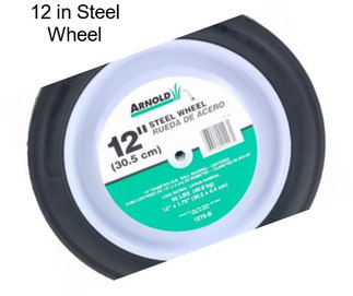 12 in Steel Wheel