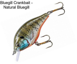 Bluegill Crankbait - Natural Bluegill
