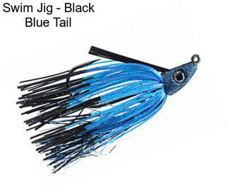 Swim Jig - Black Blue Tail