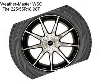Weather-Master WSC Tire 225/55R18 98T