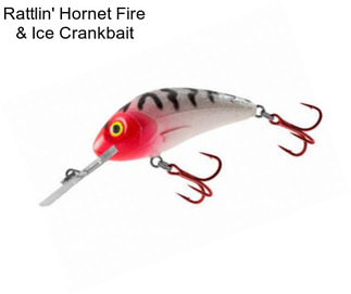 Rattlin\' Hornet Fire & Ice Crankbait