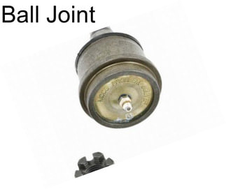 Ball Joint