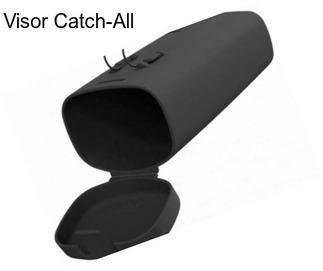 Visor Catch-All