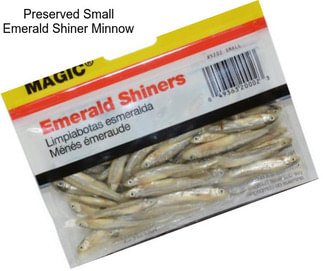 Preserved Small Emerald Shiner Minnow