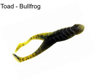 Toad - Bullfrog