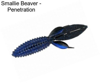 Smallie Beaver - Penetration