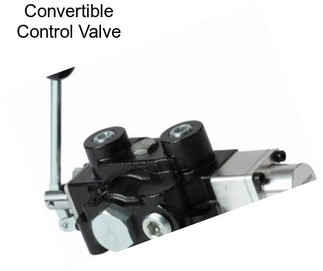 Convertible Control Valve