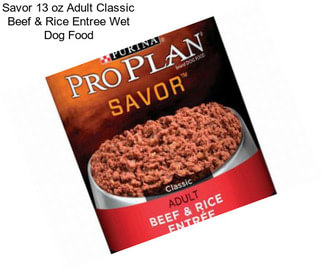 Savor 13 oz Adult Classic Beef & Rice Entree Wet Dog Food