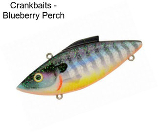 Crankbaits - Blueberry Perch