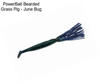 PowerBait Bearded Grass Pig - June Bug