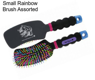 Small Rainbow Brush Assorted