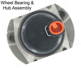 Wheel Bearing & Hub Assembly