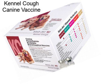 Kennel Cough Canine Vaccine