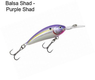 Balsa Shad - Purple Shad