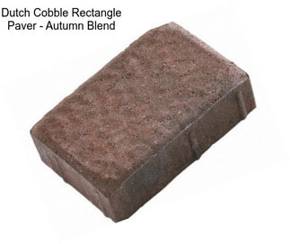 Dutch Cobble Rectangle Paver - Autumn Blend