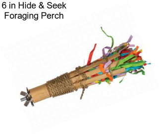 6 in Hide & Seek Foraging Perch