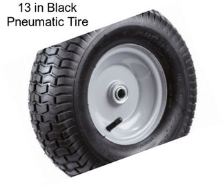 13 in Black Pneumatic Tire