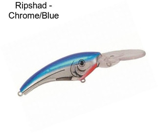 Ripshad - Chrome/Blue