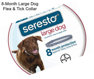 8-Month Large Dog Flea & Tick Collar