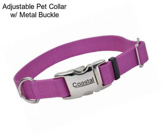 Adjustable Pet Collar w/ Metal Buckle