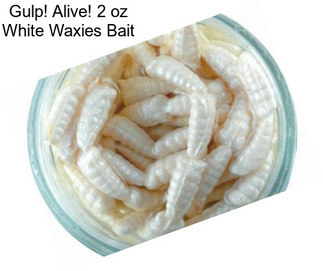 Gulp! Alive! 2 oz White Waxies Bait