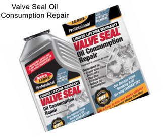 Valve Seal Oil Consumption Repair