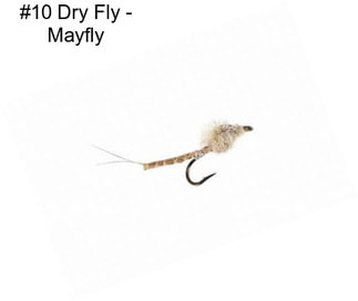 #10 Dry Fly - Mayfly