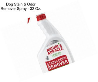 Dog Stain & Odor Remover Spray - 32 Oz.