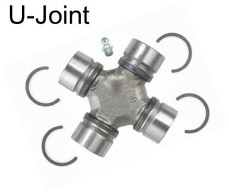 U-Joint