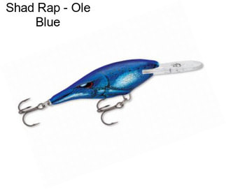 Shad Rap - Ole Blue