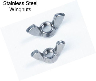 Stainless Steel Wingnuts