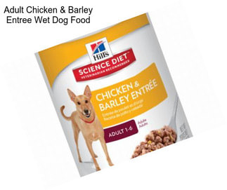 Adult Chicken & Barley Entree Wet Dog Food