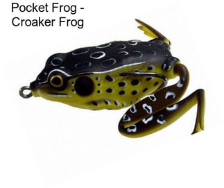Pocket Frog - Croaker Frog