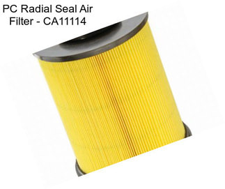 PC Radial Seal Air Filter - CA11114