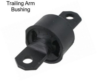 Trailing Arm Bushing