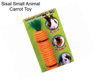 Sisal Small Animal Carrot Toy