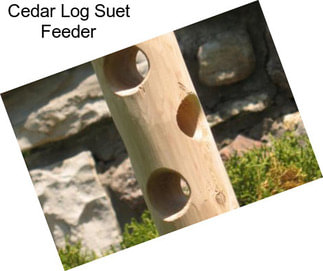 Cedar Log Suet Feeder