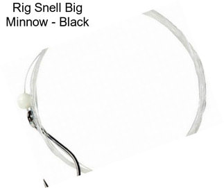 Rig Snell Big Minnow - Black