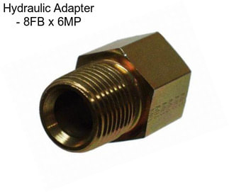 Hydraulic Adapter - 8FB x 6MP