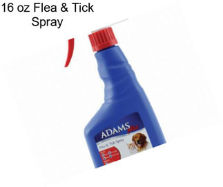 16 oz Flea & Tick Spray