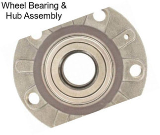 Wheel Bearing & Hub Assembly