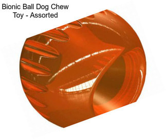 Bionic Ball Dog Chew Toy - Assorted