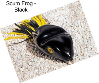 Scum Frog - Black