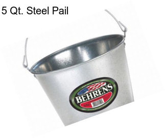 5 Qt. Steel Pail